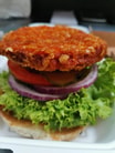 Chrispy Chicken Burger